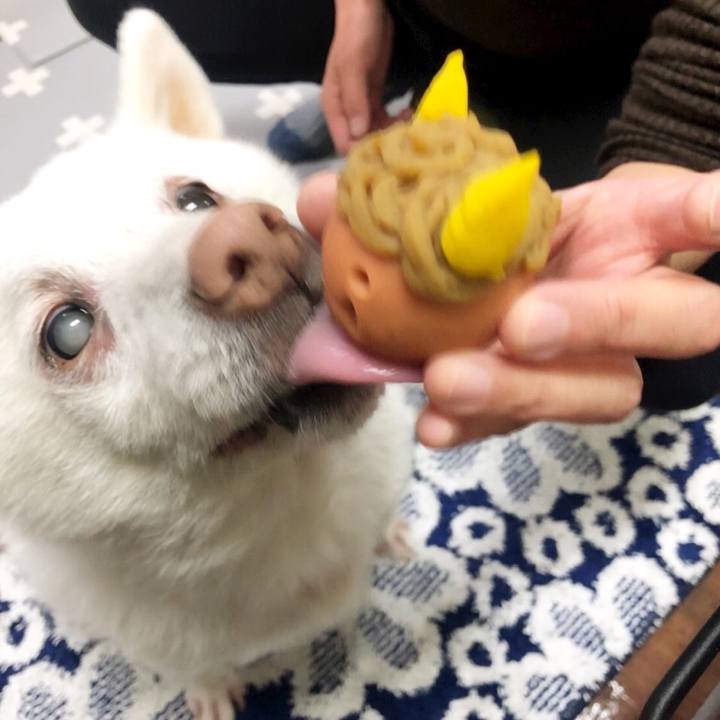 Ee17bea0 e7ac 4473 8008 fe33ee5e071e 1643894049230