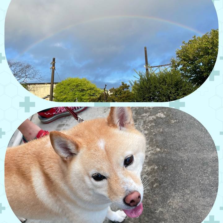 Ee17ce79 ad4b 4271 b05d 2874eac505dd 1692826667714