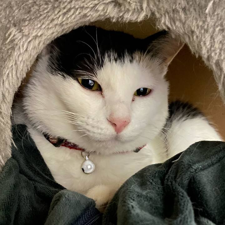 Ee17f97d aa5c 41df bb29 51cd7cdcfeb4 1667855074881