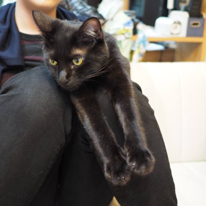 Ee18296e b343 4cdb 86f6 2286e9aea484 1542756922057