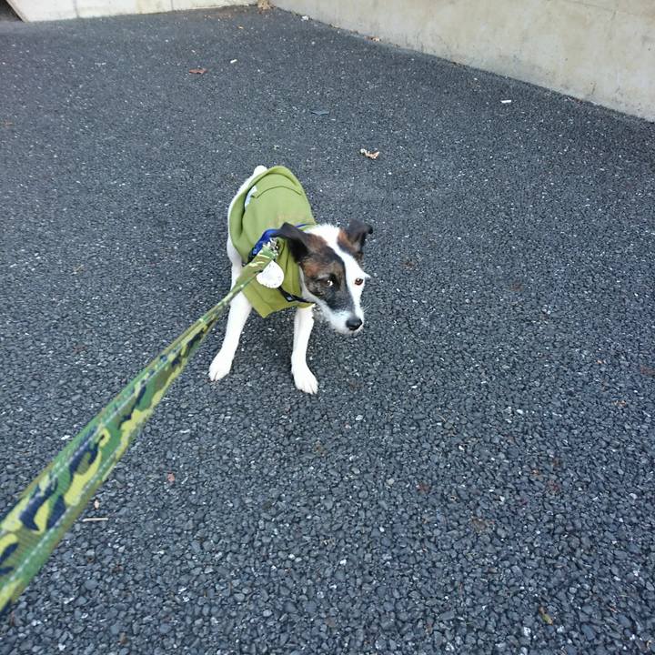 Ee1841ab 9836 48cf 9f7a 199b8b8c3a4d 1510784917549