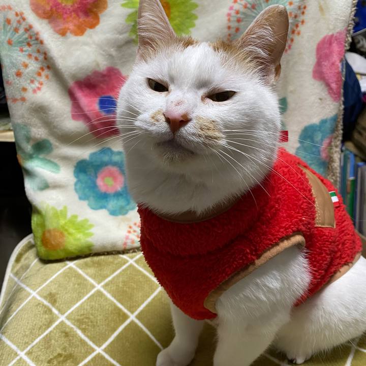 Ee185b8d af28 49d2 9288 5f72e8be7235 1642340341226