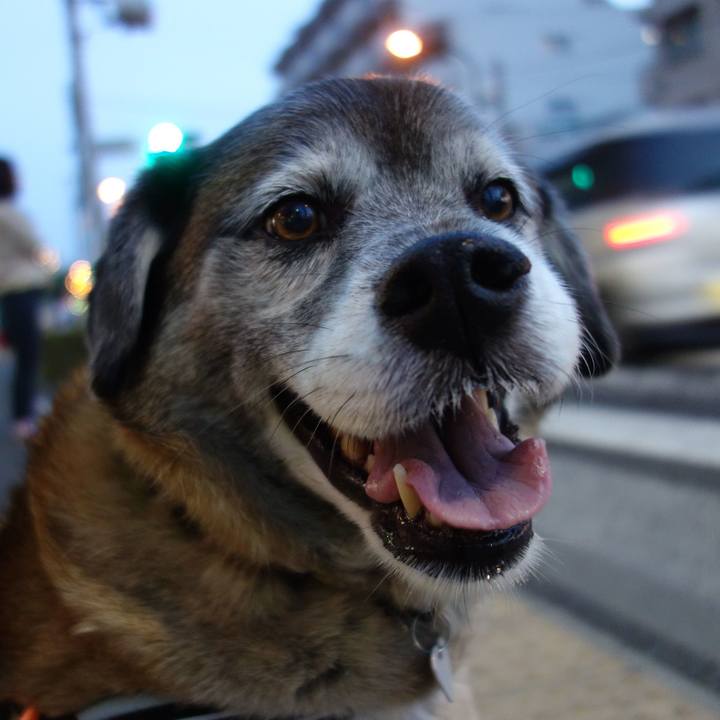 Ee185e6a 0755 4c3e b17d 4951c76a74fb 1666140978868