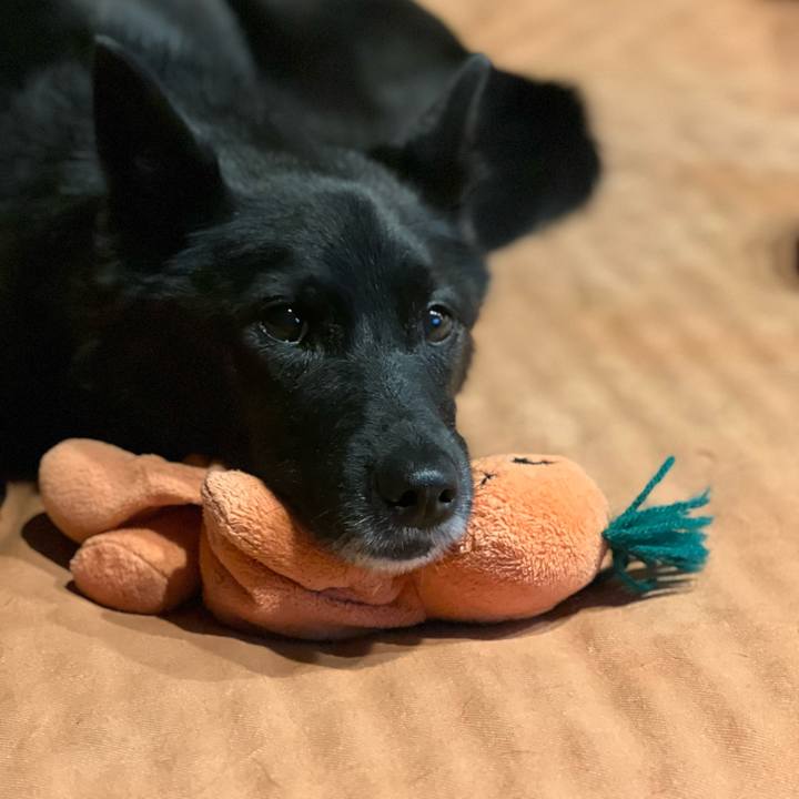 Ee1861b0 5e89 46fb bf41 21816e8a625b 1731316763900