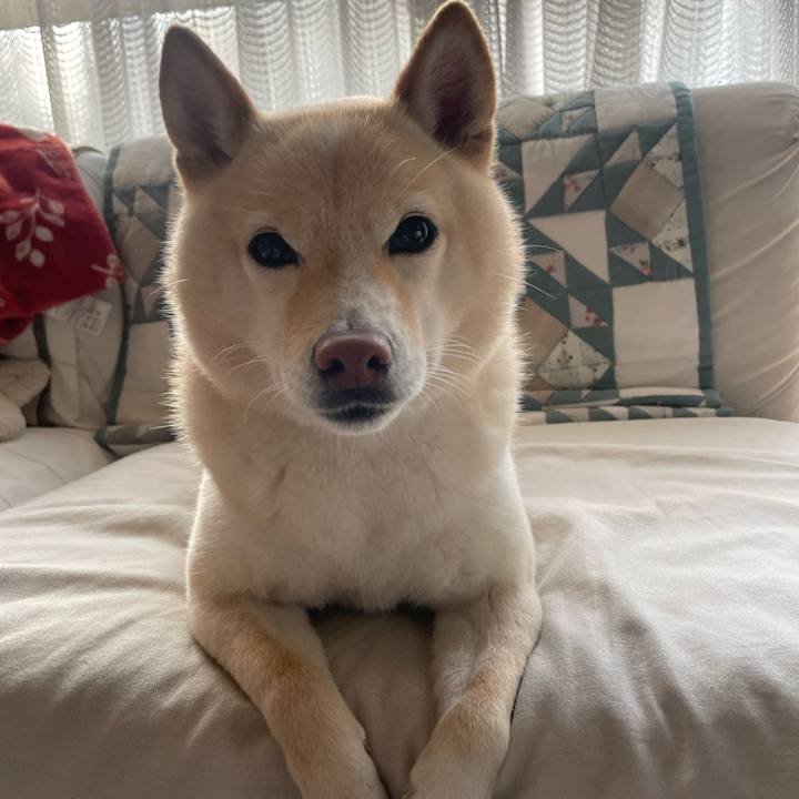 Ee18642f deb1 4f84 a081 ebf1a022f834 1676763198068