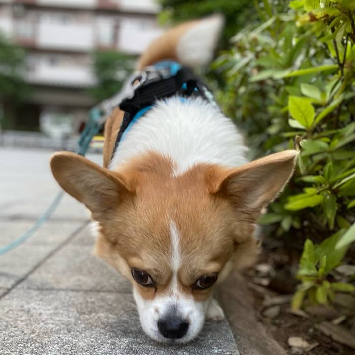 Ee1873a5 d37f 4a6a a17c 8ab2083734f1 1623373945562