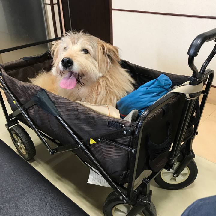 Ee1888bc dc24 4a22 a7fa ca3e0b653353 1551087586891