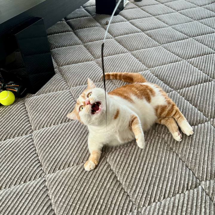 Ee18a060 317e 4509 9ce7 5ec22b0f6a27 1771297247921