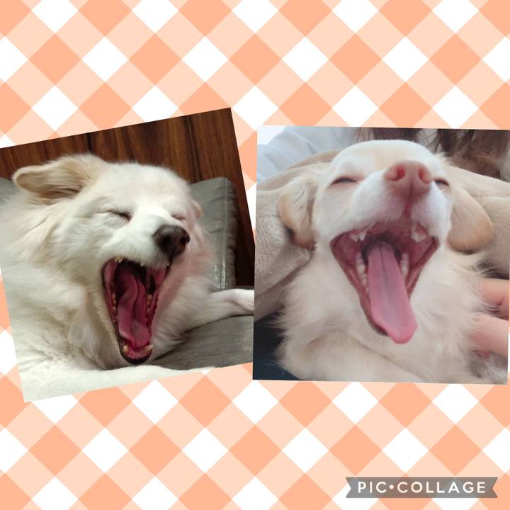 Ee18e0e8 d374 4a58 9f69 7e6619170267 1708767425487