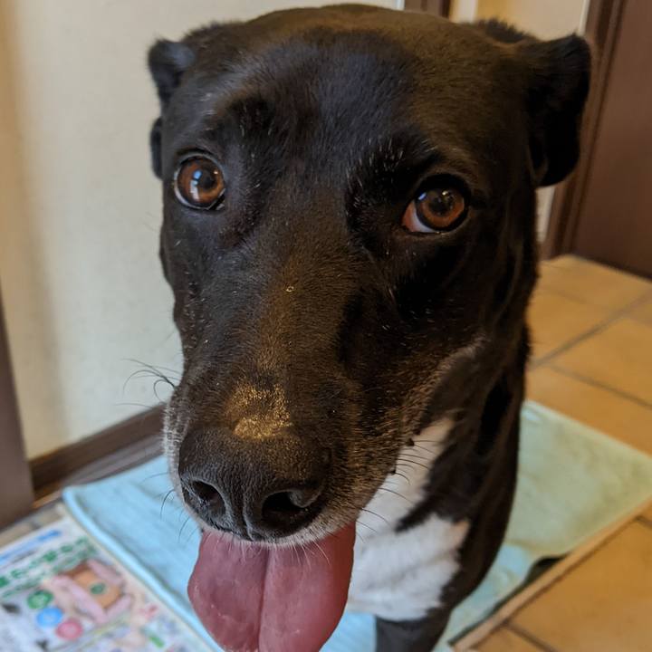 Ee18edbf 7800 4ba2 b0ae ab5515651fc8 1662943316852