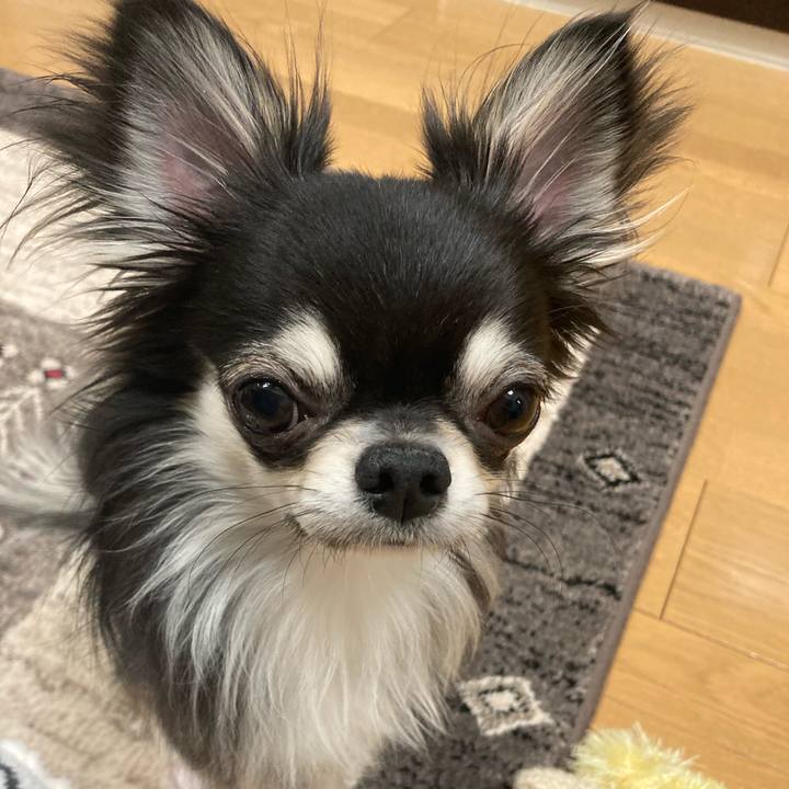 Ee18fc46 cc10 40f5 a902 d87de862fb98 1613835277466