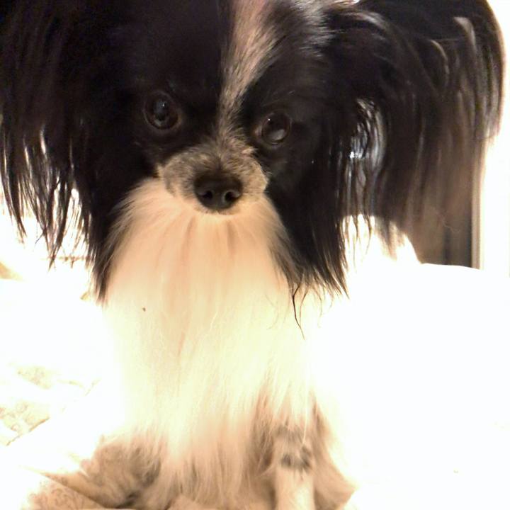 Ee1908f3 b7e9 41a2 8b59 7055db8ede85 1536328565229