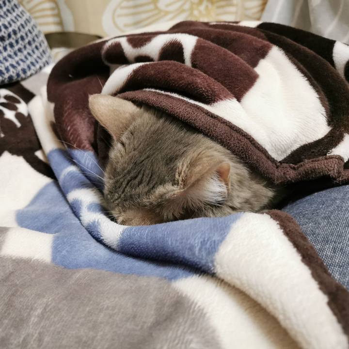 Ee195243 852f 4480 8fa7 2e8e585ccf2b 1671069001967