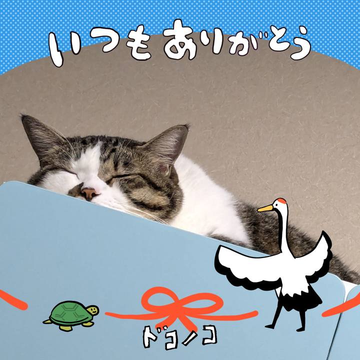 Ee196e67 1c90 4e1b 99bc 99fcad7929cd 1727012824067