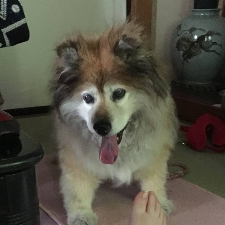 Ee197474 a8d3 4e87 9431 42af6598c7e3 1593882679937