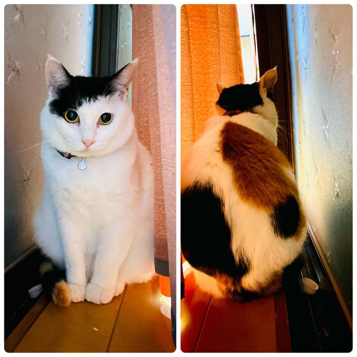 Ee1981e6 9dde 4e89 a6bc 94f5439a9677 1664981296027