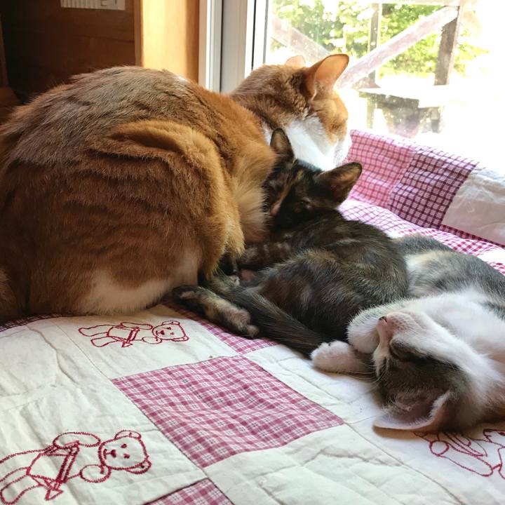 Ee199c60 8564 4655 b816 3c94e481b489 1597832199735