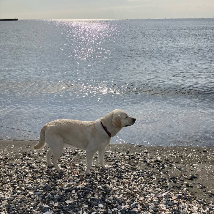 Ee19a193 41db 4985 9dd6 d236832702b6 1678109766031