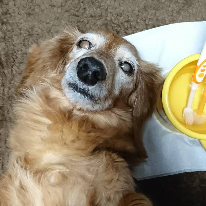 Ee19ab1e dc07 4de7 9c0b a188f51fc193 1513704727318