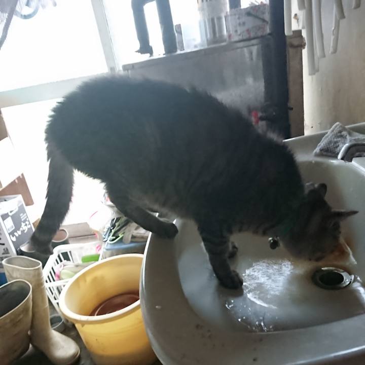 Ee19eda1 911d 451a a6b0 981855aaa0f9 1571808915987