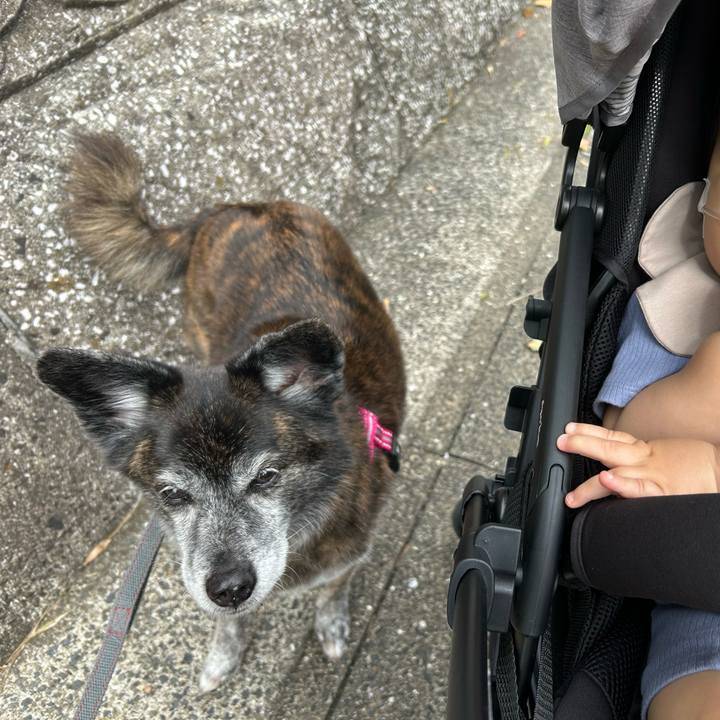 Ee1a35c1 5269 4ea5 adb5 a209dadfbdea 1728739764446