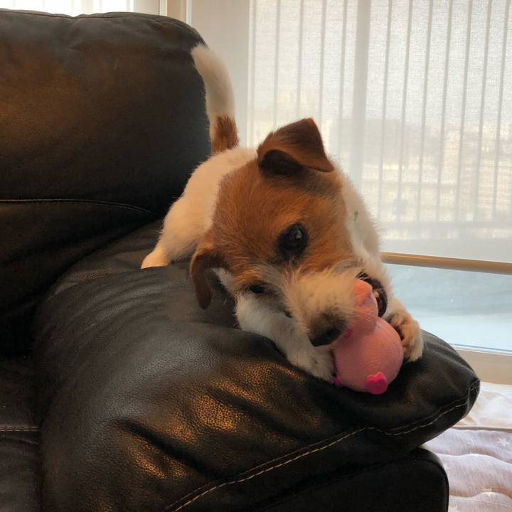 Ee1a5461 de1d 408c 895d e58f6685d426 1532404107151