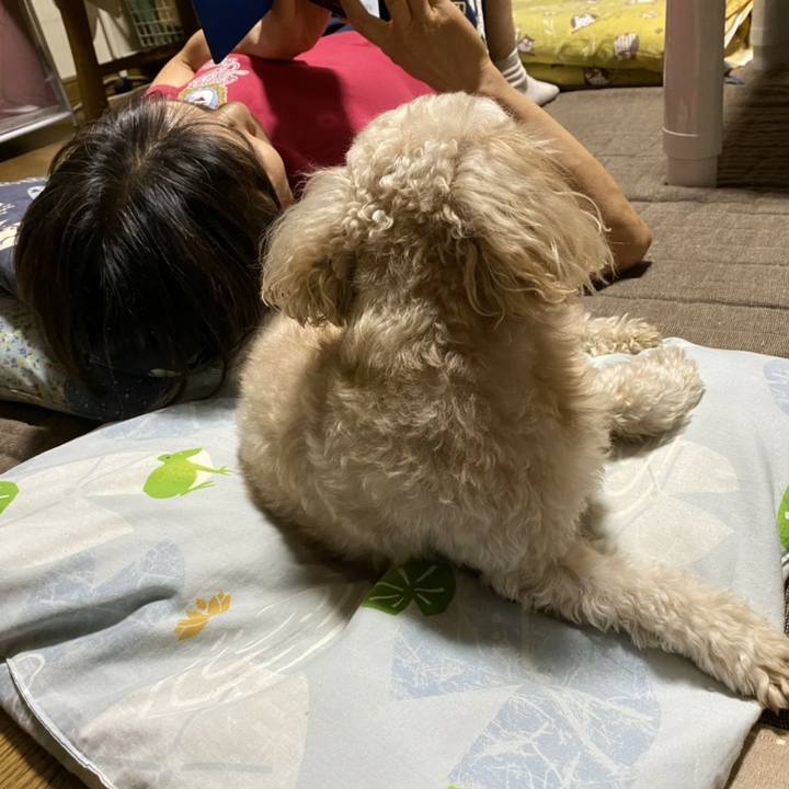 Ee1a6e75 a240 4217 a7e8 830c7ca8f6a0 1600858772282