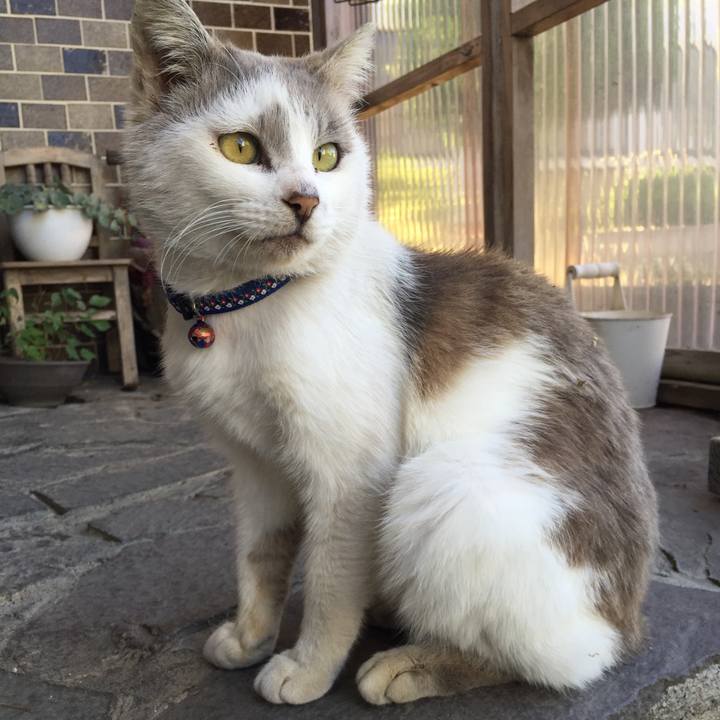 Ee1a8447 1c5d 45c1 87f1 ddbb955d0fd4 1522843353858