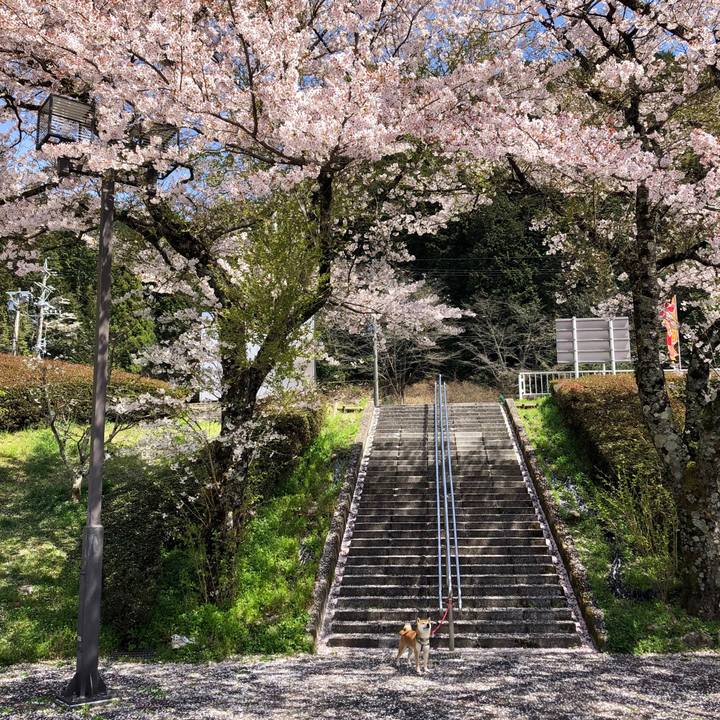 Ee1a9363 3ab9 4fa7 a301 0cf13553c51d 1555574952272