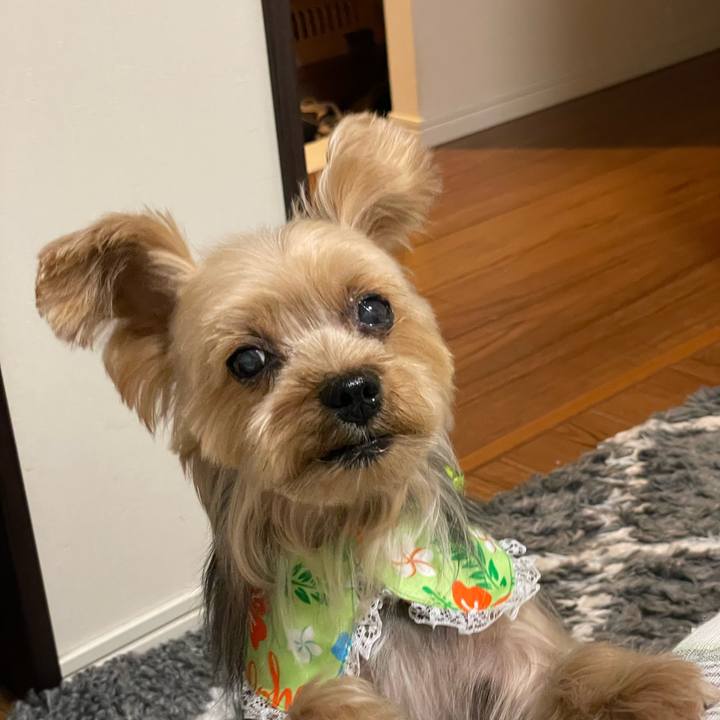 Ee1a9737 d0e7 4205 beab b03bc0ad2767 1763130094450