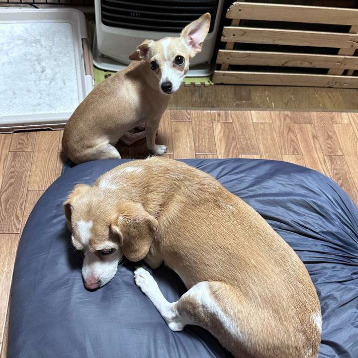 Ee1aa3b9 ab92 4455 a70d 616b7fc38fe6 1696683443643