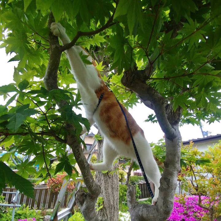 Ee1ae9d6 6309 4485 a1fd 7abe5e6a02bf 1526180510189