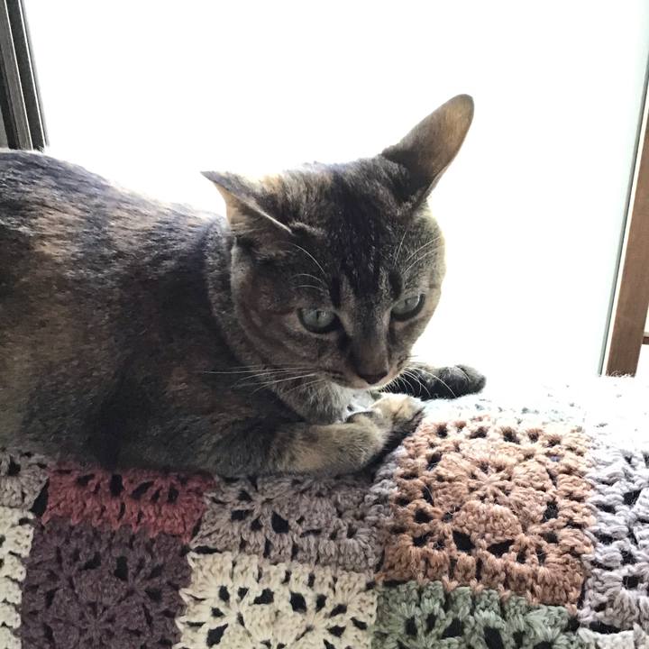 Ee1b0b3a 48a1 4b67 8dfd d4972bc62842 1596707317531