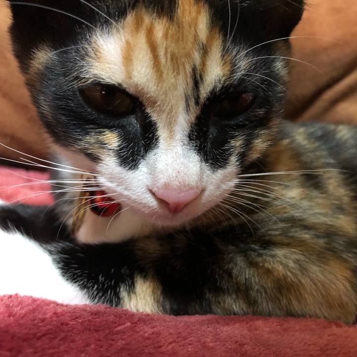 Ee1b119b c162 4745 8b18 aa4bbfe3fb45 1545492930001