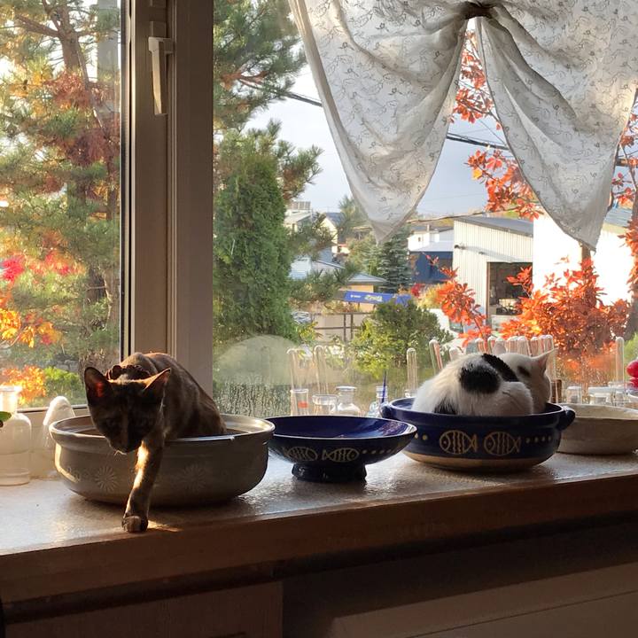 Ee1b7a7f 8804 42cd a575 40177b6680f4 1604096576833