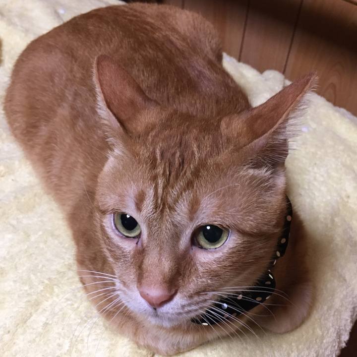 Ee1b8b98 9013 4078 a28a e356a2c4aa60 1539089904098