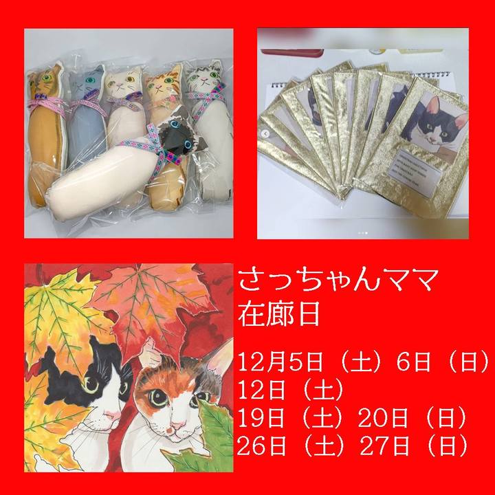 Ee1b8bf1 f80b 45a0 bcb7 8b58ca22f7fd 1607040024185