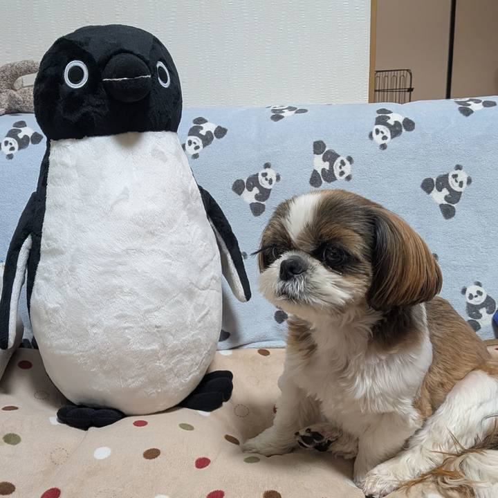 Ee1bbf82 f54a 41cc 91a8 54045f4d91b1 1771423350963