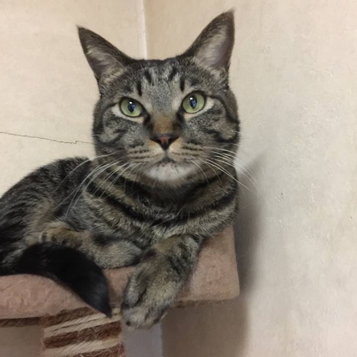 Ee1bef73 ffcd 45c6 930d 875f14cb5174 1511521692221