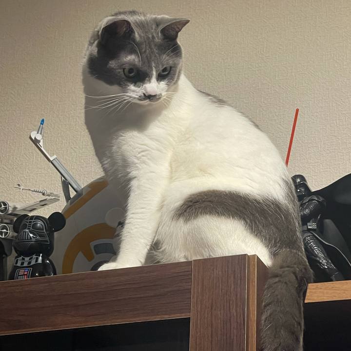 Ee1bf03e dbe0 4a4a b84d ac00d556cba0 1624791092404