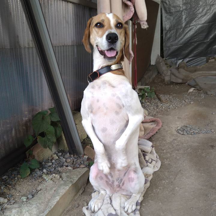 Ee1c425b 236e 4d74 92fc a3c38360d888 1630141093917