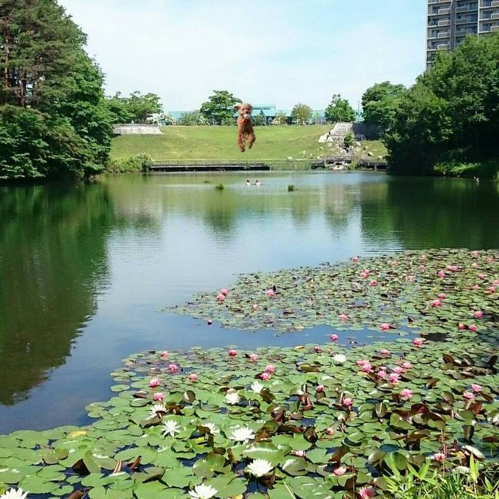 Ee1c435e 02e7 43b9 a198 c0240c137216 1528250020127