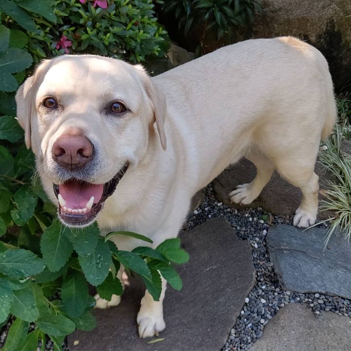 Ee1c7f03 0241 4a59 937b 4038e1f17e53 1590710650107