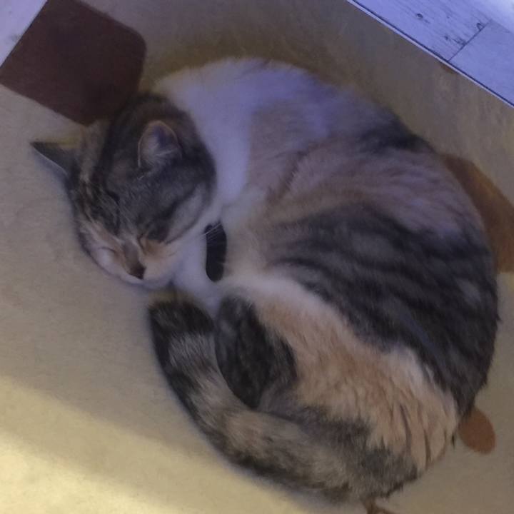 Ee1c9799 cca1 4fe6 b895 a499ec08ef5a 1556119736334