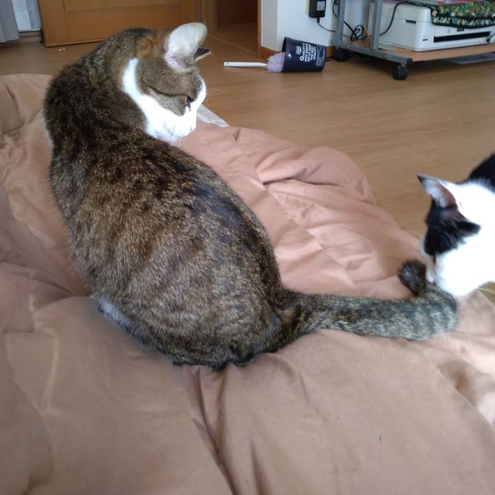 Ee1cfbb8 e0c6 43bf b515 05f063d1dd59 1522411064510