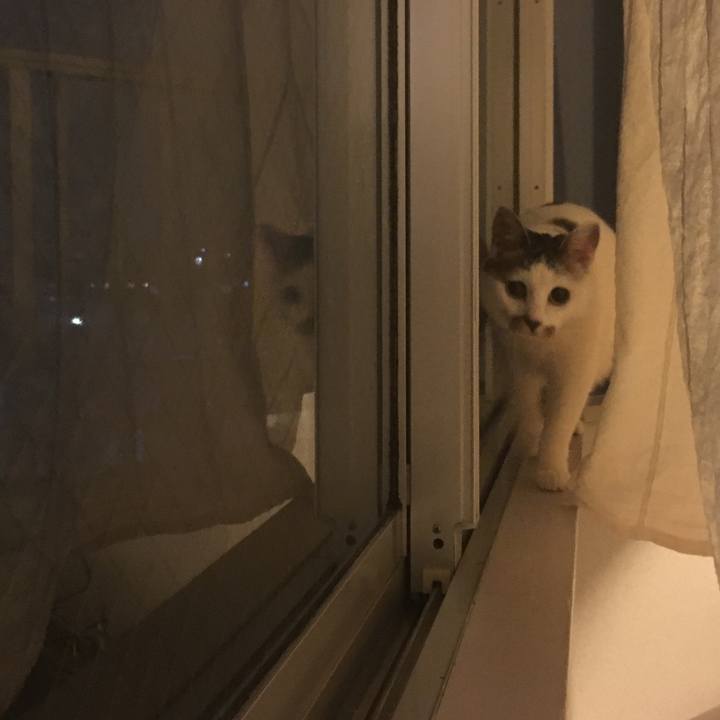 Ee1d08fd f848 4e29 8e31 06287aa0d600 1520519092910