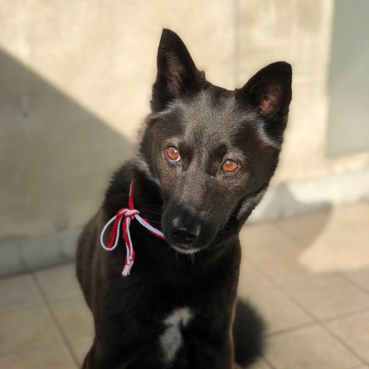 Ee1d451a e594 4a84 a7dc 2d3b9273dfcc 1557008703130