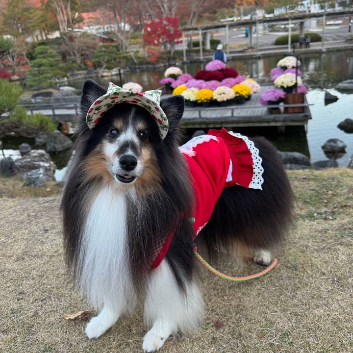 Ee1d6bf7 bd1f 4d4e bab3 f78c01e703c3 1764525139492