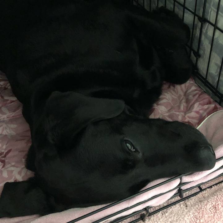 Ee1d8f79 0185 41a2 89d6 5eb0ad75726d 1608532510811