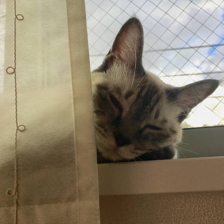 Ee1d9541 06ed 4557 87a7 80091b6730e9 1567997653136